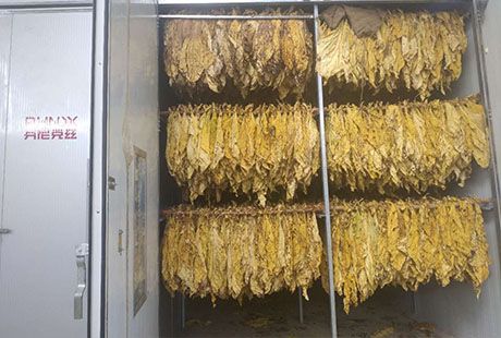河南平頂山郟縣煙葉烘干項目